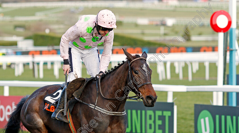 Benie-Des-Dieux-0006 
 BENIE DES DIEUX (Ruby Walsh) wins The OLBG Mares Hurdle Cheltenham 13 Mar 2018 - Pic Steven Cargill / Racingfotos.com