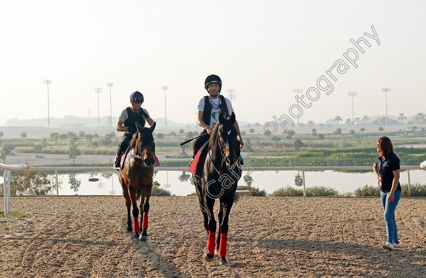 Calif-and-Andromede-0001 
 CALIF (leading) and ANDROMEDE training for the Bahrain International Trophy
Kingdom of Bahrain 13 Nov 2024 - Pic Steven Cargill / Racingfotos.com