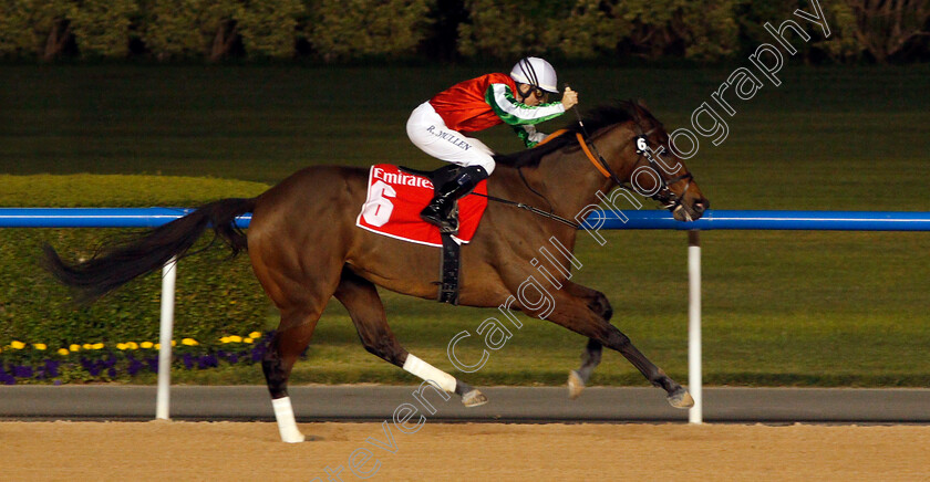 North-America-0007 
 NORTH AMERICA (Richard Mullen) wins The Al Maktoum Challenge (Round 3) Meydan Dubai 10 Mar 2018 - Pic Steven Cargill / Racingfotos.com