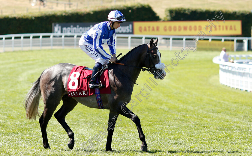 Shine-So-Bright-0001 
 SHINE SO BRIGHT (Oisin Murphy)
Goodwood 2 Aug 2018 - Pic Steven Cargill / Racingfotos.com