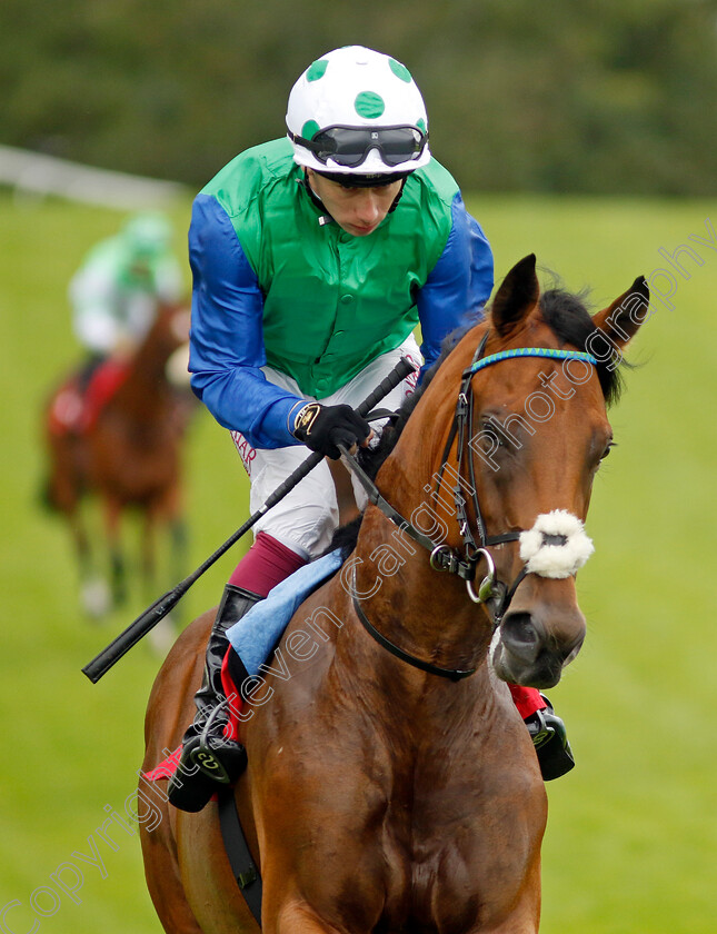 Kings-Valley-0001 
 KINGS VALLEY (Oisin Murphy)
Sandown 27 Jul 2023 - Pic Steven Cargill / Racingfotos.com