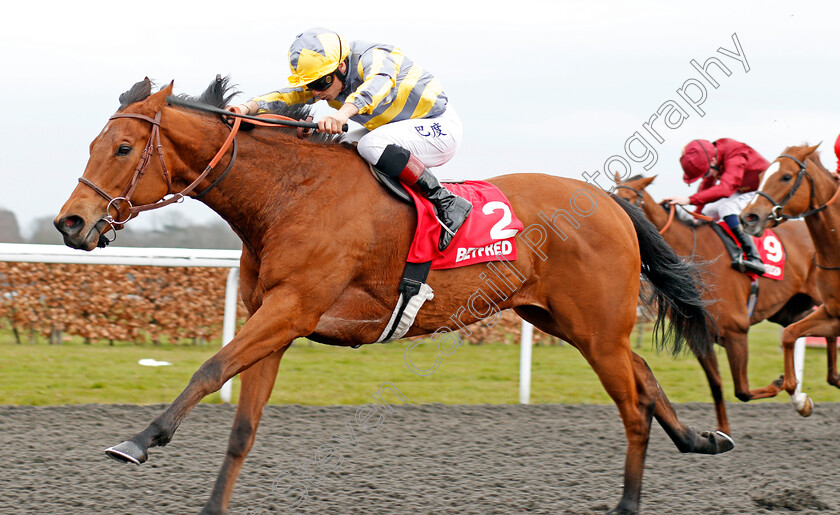 Hunaina-0008 
 HUNAINA (Alexis Badel) wins The Betfred Home Of Goals Galore Snowdrop Fillies Stakes Kempton 7 Apr 2018 - Pic Steven Cargill / Racingfotos.com