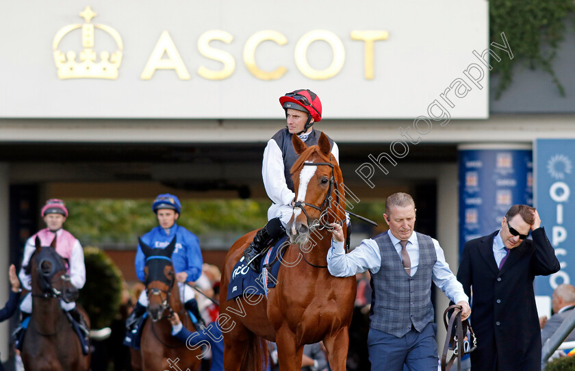 Kyprios-0009 
 KYPRIOS (Ryan Moore) before winning The Qipco British Champions Long Distance Cup
Ascot 19 Oct 2024 - Pic Steven Cargill / Racingfotos.com