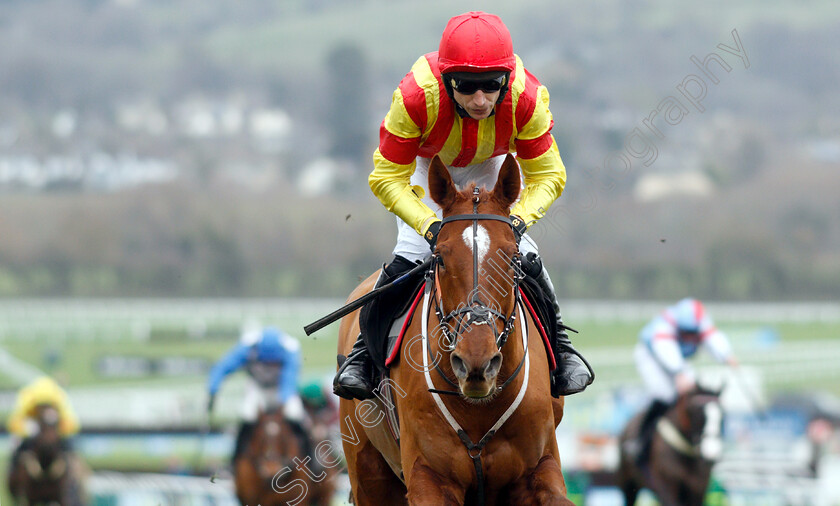 Jarveys-Plate-0008 
 JARVEYS PLATE (Paddy Brennan) wins The Ballymore Novices Hurdle
Cheltenham 1 Jan 2019 - Pic Steven Cargill / Racingfotos.com