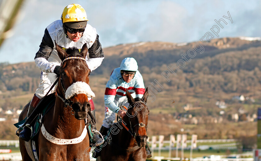 Western-Ryder-0005 
 WESTERN RYDER (Richard Johnson) wins The British Stallion Studs EBF National Hunt Novices Hurdle Cheltenham 15 Dec 2017 - Pic Steven Cargill / Racingfotos.com