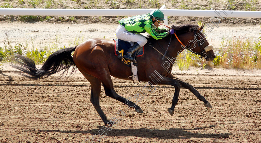 Realize-Rock-0006 
 REALIZE ROCK (Andreas Tapia Dalbark) wins The Tabergs Bro Park Trial
Bro Park Sweden 30 Jun 2019 - Pic Steven Cargill / Racingfotos.com