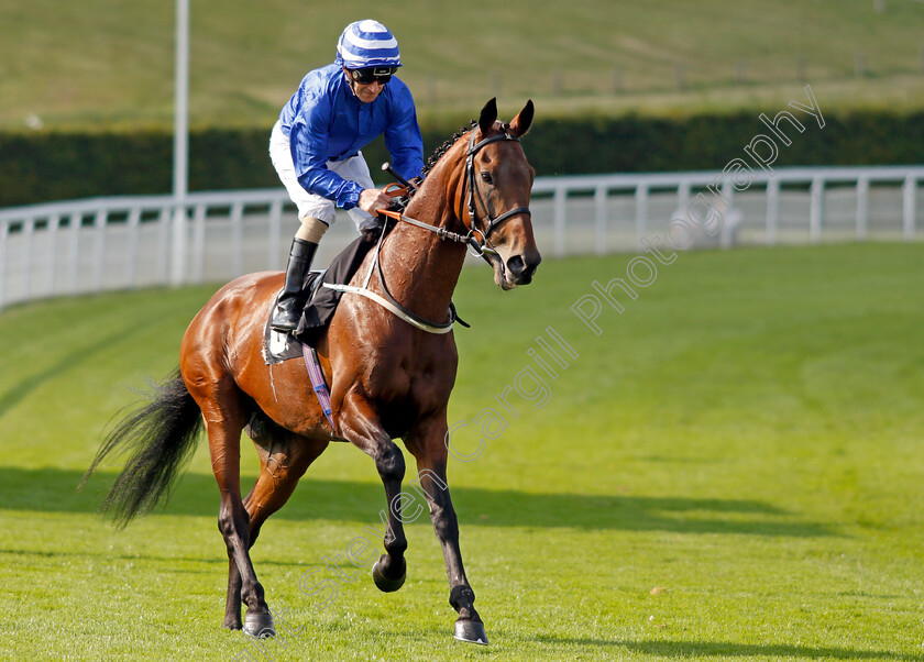 West-End-Charmer-0001 
 WEST END CHARMER (Joe Fanning)
Goodwood 22 Sep 2021 - Pic Steven Cargill / Racingfotos.com