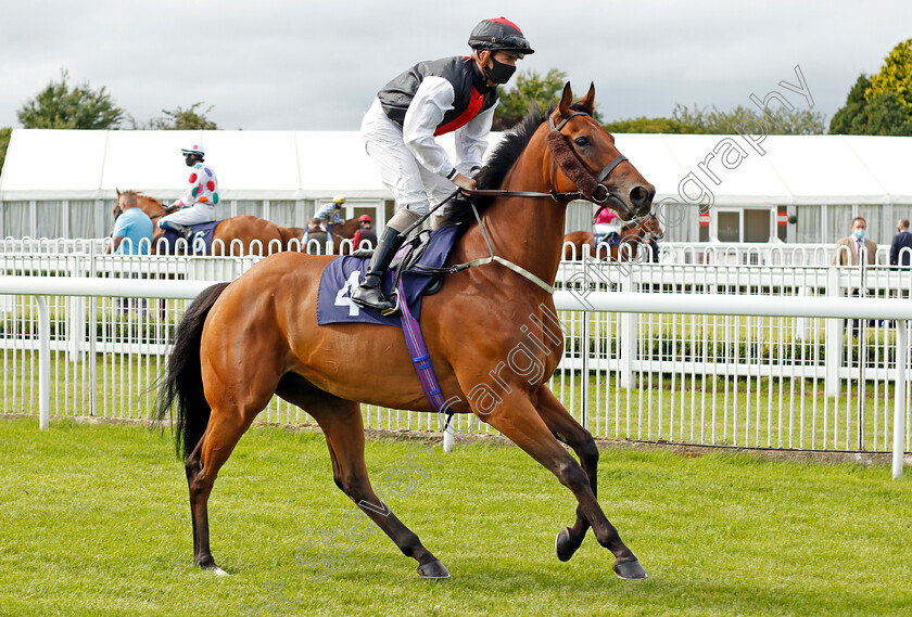 Storm-Melody-0001 
 STORM MELODY (Kieran O'Neill)
Bath 18 Jul 2020 - Pic Steven Cargill / Racingfotos.com