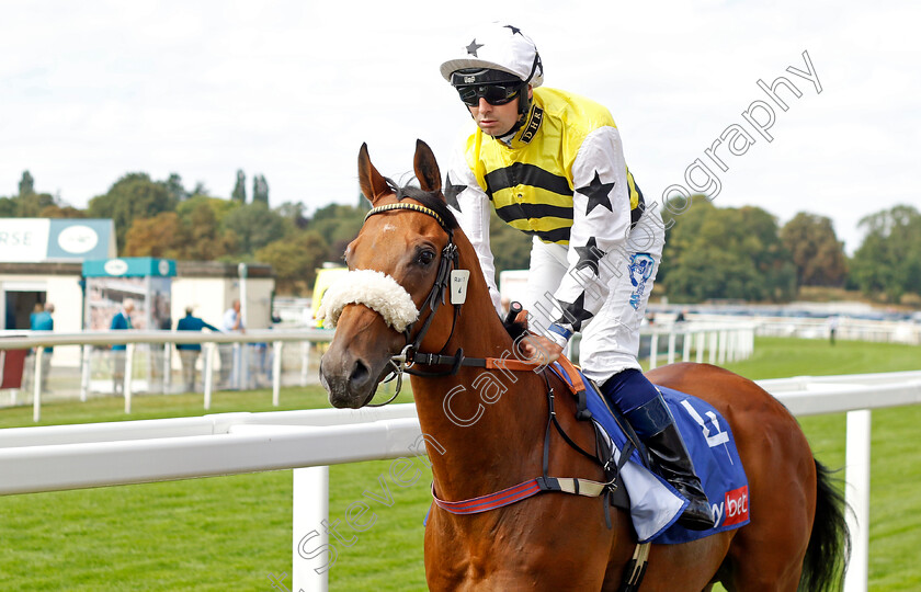 Dakota-Gold 
 DAKOTA GOLD (Connor Beasley)
York 17 Aug 2022 - Pic Steven Cargill / Racingfotos.com