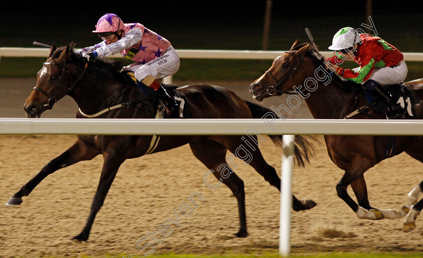 Miss-M-0003 
 MISS M (Martin Dwyer) beats HALDAW (right) in The Bet totewin at Betfred.com Handicap Div1 Chelmsford 12 Oct 2017 - Pic Steven Cargill / Racingfotos.com