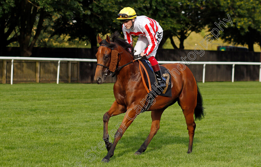 States-0001 
 STATES (David Egan)
Newmarket 28 Jul 2023 - Pic Steven Cargill / Racingfotos.com