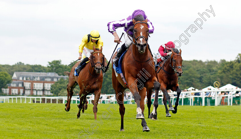 St-Mark s-Basilica-0008 
 ST MARK'S BASILICA (Ryan Moore) beats ADDEYBB (left) and MISHRIFF (right) in The Coral Eclipse Stakes
Sandown 3 Jul 2021 - Pic Steven Cargill / Racingfotos.com