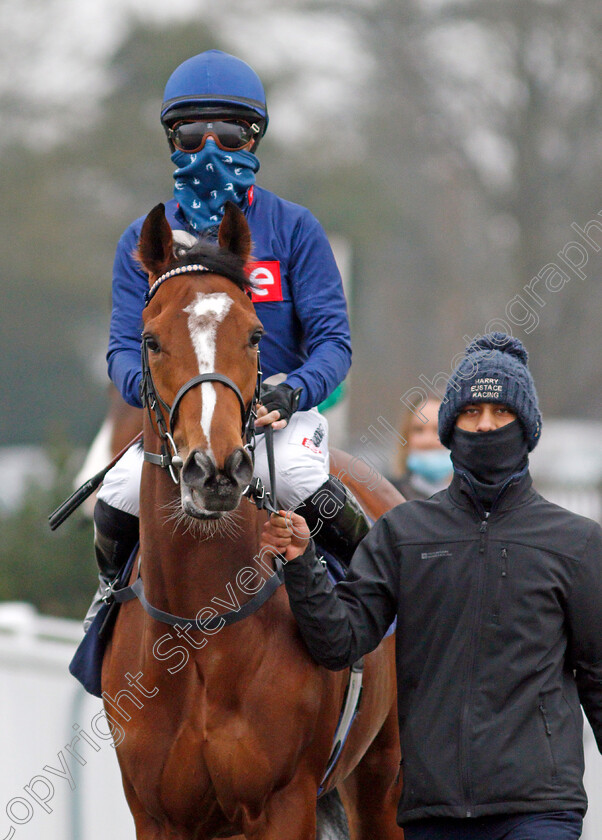 Lumley-0001 
 LUMLEY (Hayley Turner)
Lingfield 25 Jan 2022 - Pic Steven Cargill / Racingfotos.com