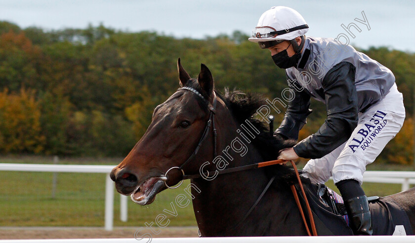 Pontius-0001 
 PONTIUS (Tom Marquand)
Chelmsford 8 Oct 2020 - Pic Steven Cargill / Racingfotos.com