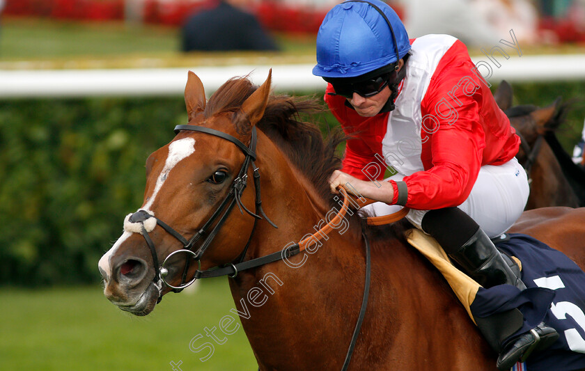 Davydenko-0004 
 DAVYDENKO (Ryan Moore) wins The Magners Rose Handicap
Doncaster 12 Sep 2019 - Pic Steven Cargill / Racingfotos.com