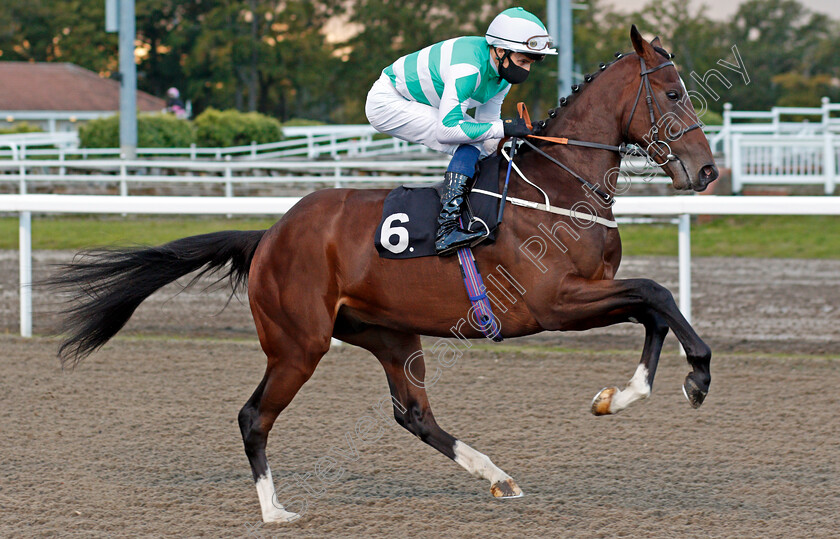 Headingley-0001 
 HEADINGLEY (William Buick) before winning The EBF Novice Auction Stakes
Chelmsford 15 Oct 2020 - Pic Steven Cargill / Racingfotos.com