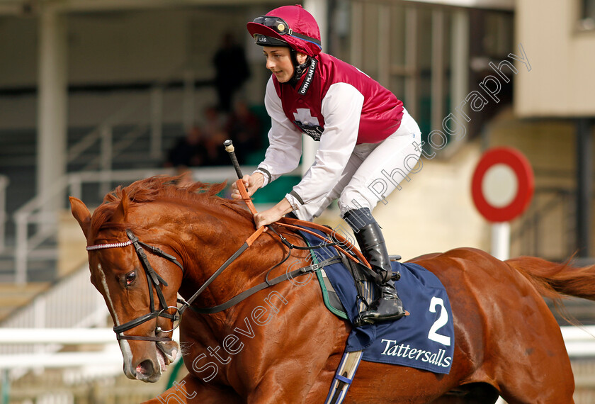 Zoulu-Chief-0001 
 ZOULU CHIEF (Gina Mangan)
Newmarket 7 Oct 2023 - Pic Steven Cargill / Racingfotos.com