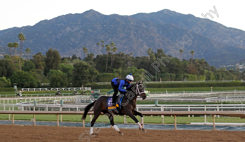 Wet-Paint-0002 
 WET PAINT training for The Breeders' Cup Distaff
Santa Anita USA, 31 October 2023 - Pic Steven Cargill / Racingfotos.com