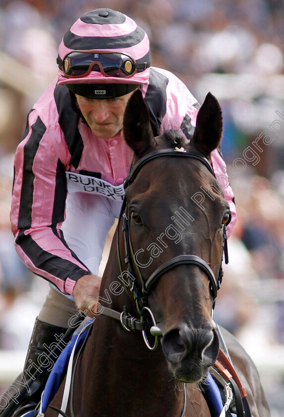 Chichester-0002 
 CHICHESTER (Joe Fanning)
York 26 Aug 2023 - Pic Steven Cargill / Racingfotos.com