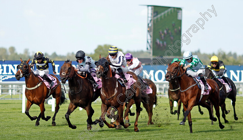 Albasheer-0006 
 ALBASHEER (centre, Hollie Doyle) beats EMPEROR SPIRIT (2nd left) in The Whispering Angel Handicap
Ascot 27 Jul 2024 - Pic Steven Cargill / Racingfotos.com