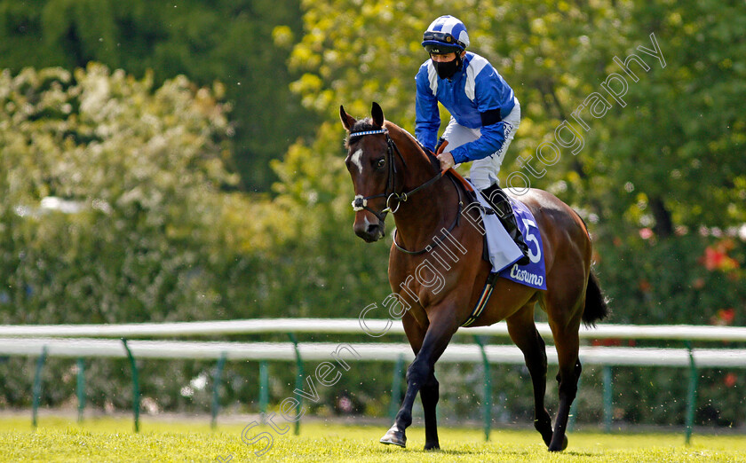 Mujbar-0001 
 MUJBAR (Dane O'Neill)
Haydock 22 May 2021 - Pic Steven Cargill / Racingfotos.com