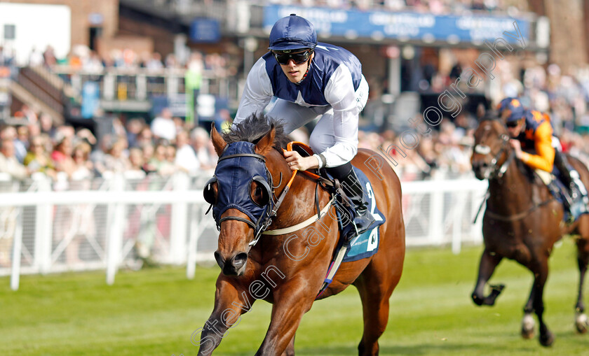 Democracy-Dilemma-0004 
 DEMOCRACY DILEMMA (George Downing) wins The British Stallion Studs EBF Maiden Stakes
Chester 5 May 2022 - Pic Steven Cargill / Racingfotos.com