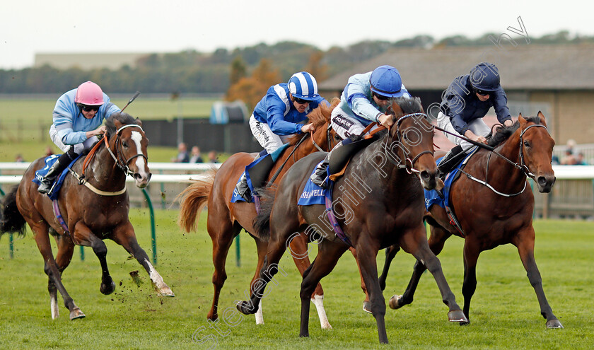 Thrave-0002 
 THRAVE (Harry Bentley) beats COAT OF ARMS (right) in The Derrinstown British EBF Maiden Stakes Newmarket 29 Sep 2017 - Pic Steven Cargill / Racingfotos.com