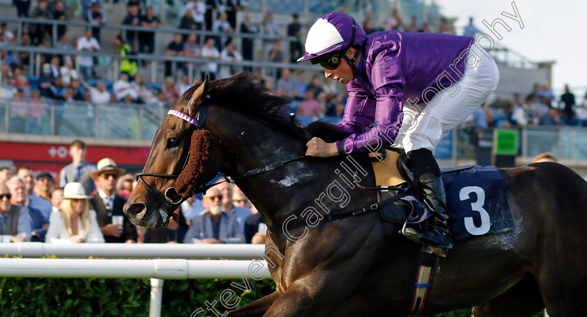 Baradar-0001 
 BARADAR (William Buick) wins The Doncaster Groundworks Reinforcements Handicap
Doncaster 15 Sep 2023 - Pic Steven Cargill / Racingfotos.com