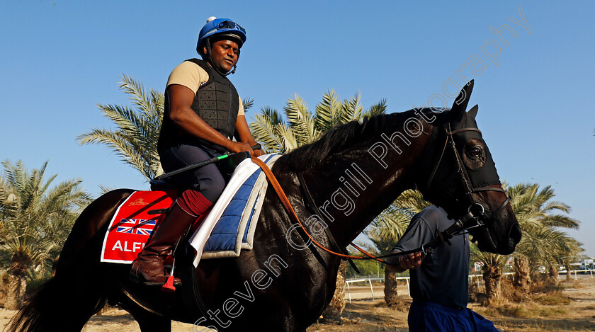 Alflaila-0010 
 ALFLAILA training for the Bahrain International Trophy
Kingdom of Bahrain 13 Nov 2024 - Pic Steven Cargill / Racingfotos.com