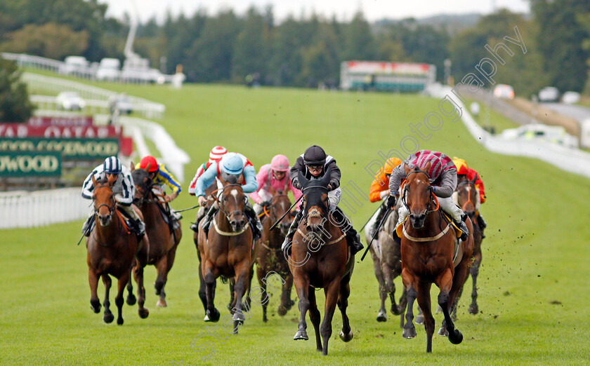 Saras-Hope-0002 
 SARAS HOPE (centre, Kevin Lundie) beats PETTOCHSIDE (right) in The Ladbrokes Handicap
Goodwood 28 Aug 2020 - Pic Steven Cargill / Racingfotos.com