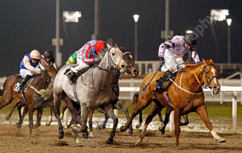 Dutch-Decoy-0003 
 DUTCH DECOY (right, Joe Fanning) beats GLENN COCO (left) in The Injured Jockeys Fund Handicap
Chelmsford 14 Jan 2021 - Pic Steven Cargill / Racingfotos.com