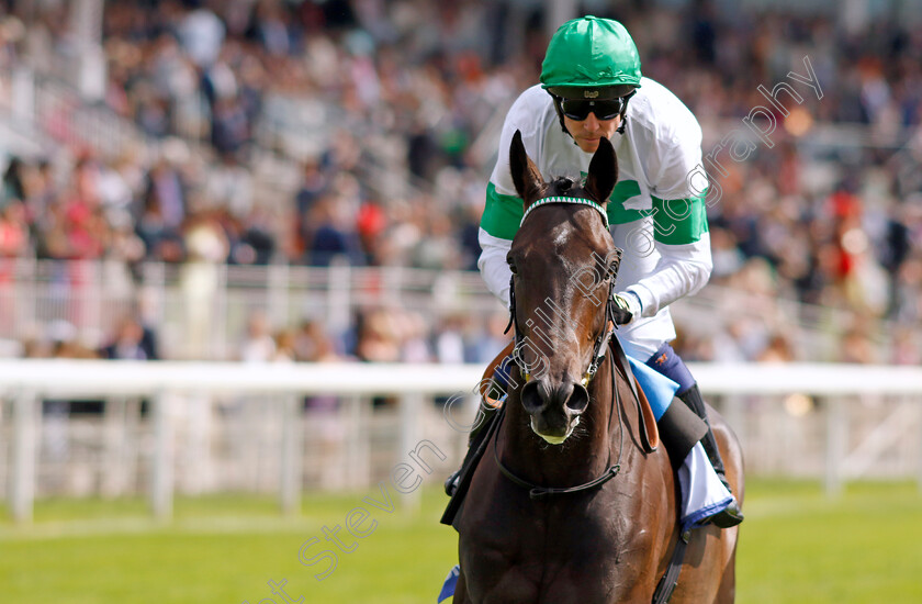 Too-Bossy-For-Us-0001 
 TOO BOSSY FOR US (Jim Crowley)
York 24 Aug 2024 - Pic Steven Cargill / Racingfotos.com