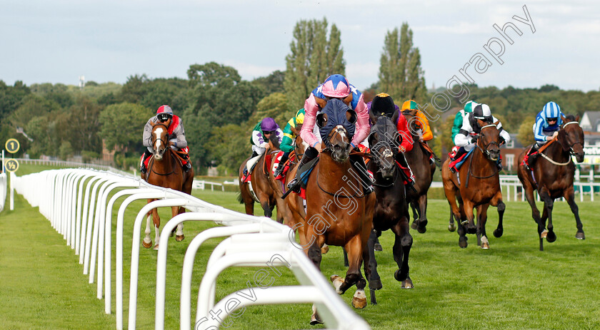 Seinesational-0001 
 SEINSATIONAL (Jason Watson) wins The Read Andrew Balding On Betway Insider Handicap
Sandown 23 Aug 2020 - Pic Steven Cargill / Racingfotos.com