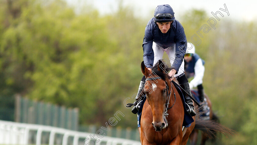 Cape-Of-Good-Hope-0002 
 CAPE OF GOOD HOPE (Ryan Moore) before winning The Investec Blue Riband Trial Stakes
Epsom 24 Apr 2019 - Pic Steven Cargill / Racingfotos.com