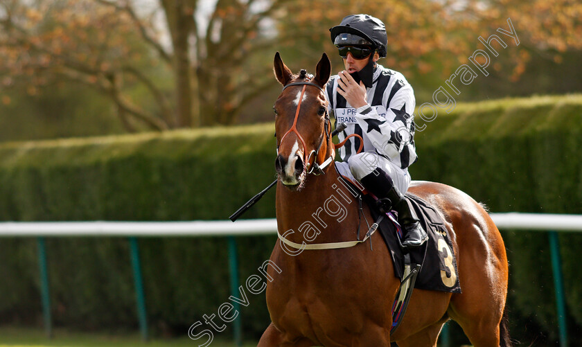 Burning-Cash 
 BURNING CASH (Martin Harley)
Nottingham 7 Apr 2021 - Pic Steven Cargill / Racingfotos.com