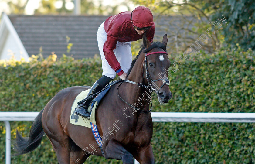 Blueberry-Hill-0001 
 BLUEBERRY HILL (James Doyle)
Kempton 4 Aug 2021 - Pic Steven Cargill / Racingfotos.com