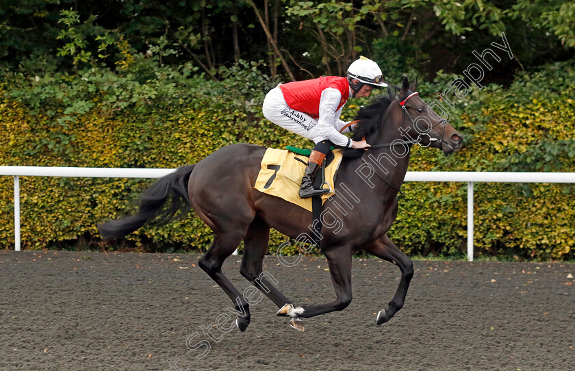 Nahi-0001 
 NAHI (Rossa Ryan)
Kempton 2 Oct 2024 - pic Steven Cargill / Racingfotos.com