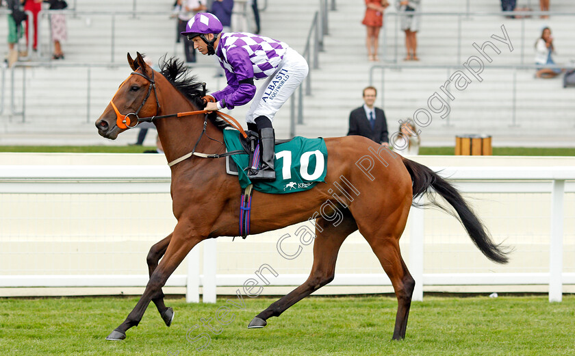 System-0001 
 SYSTEM (Pat Dobbs)
Ascot 24 Jul 2021 - Pic Steven Cargill / Racingfotos.com