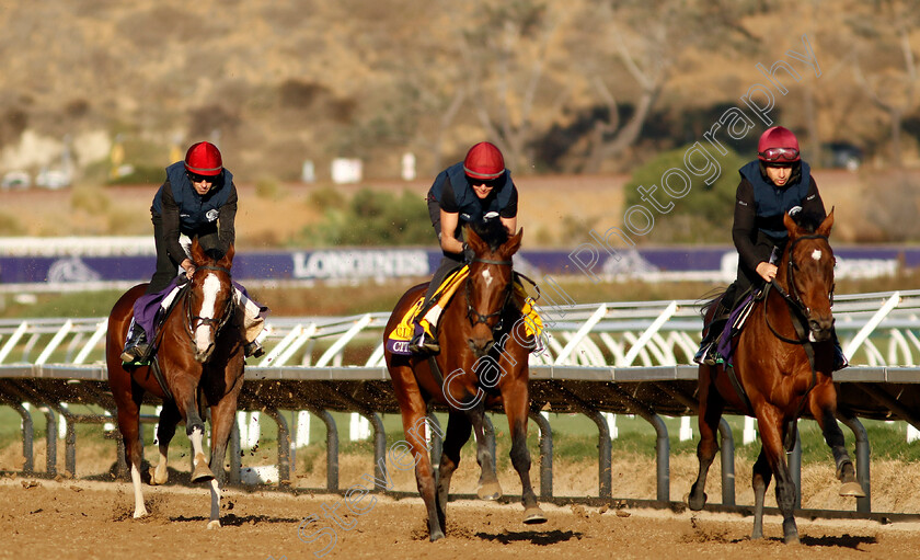 City-Of-Troy-0005 
 CITY OF TROY (centre, Rachel Richardson) with LUXEMBOURG (right) and DIEGO VELAZQUEZ (left) training for the Breeders' Cup Classic
Del Mar USA 31 Oct 2024 - Pic Steven Cargill / Racingfotos.com