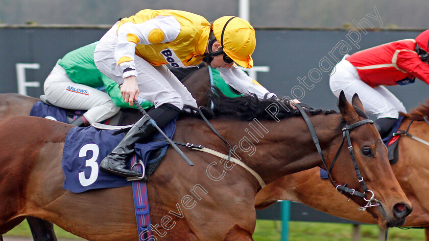 Invincible-Larne-0002 
 INVINCIBLE LARNE (Callum Shepherd) wins The Read Katie Walsh On Betway Insider Handicap
Lingfield 27 Jan 2021 - Pic Steven Cargill / Racingfotos.com