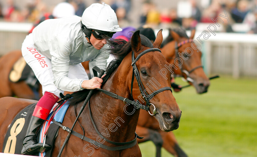 King-Leonidas-0009 
 KING LEONIDAS (Frankie Dettori) wins The Coates & Seely Blanc De Blancs Novice Stakes Div1
Newmarket 23 Oct 2019 - Pic Steven Cargill / Racingfotos.com