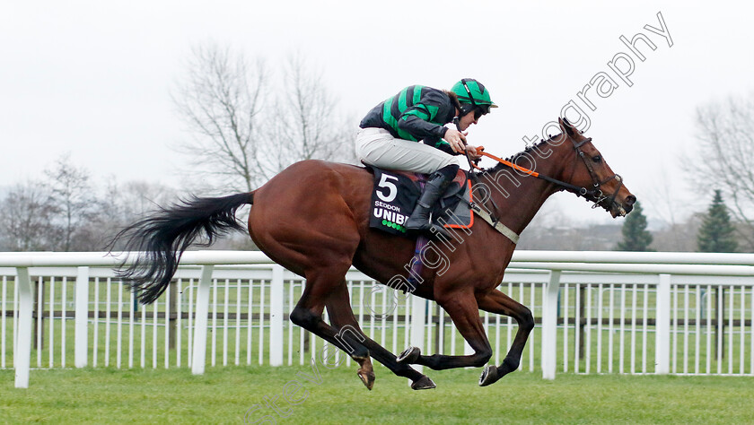 Seddon-0002 
 SEDDON (Ben Harvey)
Cheltenham 13 Dec 2024 - Pic Steven Cargill / Racingfotos.com