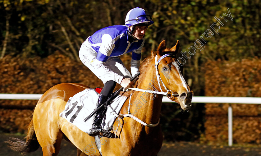 Lordsbridge-Havana-0001 
 LORDSBRIDGE HAVANA (Jonny Peate)
Kempton 4 Dec 2024 - Pic Steven Cargill / Racingfotos.com