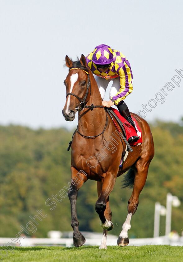 Skyman-0002 
 SKYMAN (Jason Watson) before The Betway Live Casino Handicap
Sandown 30 Aug 2019 - Pic Steven Cargill / Racingfotos.com