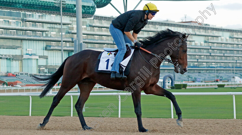 Channagide-0002 
 CHANNAGIDE training at the Dubai Racing Carnival 
Meydan 2 Jan 2025 - Pic Steven Cargill / Racingfotos.com