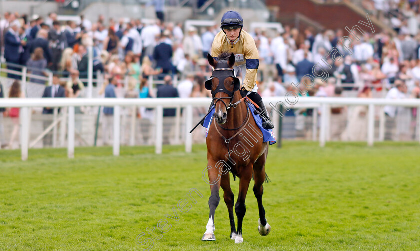 Outbox-0001 
 OUTBOX (Hollie Doyle)
York 17 Jun 2023 - Pic Steven Cargill / Racingfotos.com