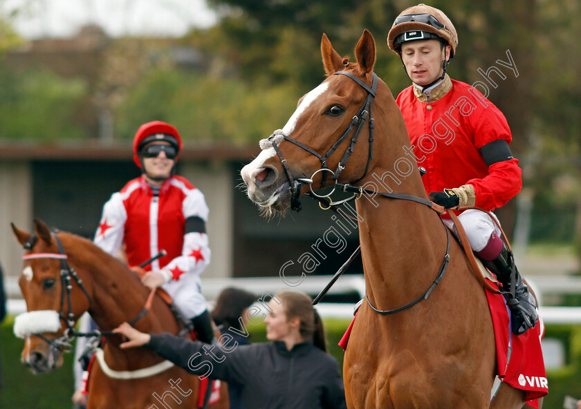 Old-Harrovian-0003 
 OLD HARROVIAN (Oisin Murphy)
Kempton 6 Apr 2024 - Pic Steven Cargill / Racingfotos.com