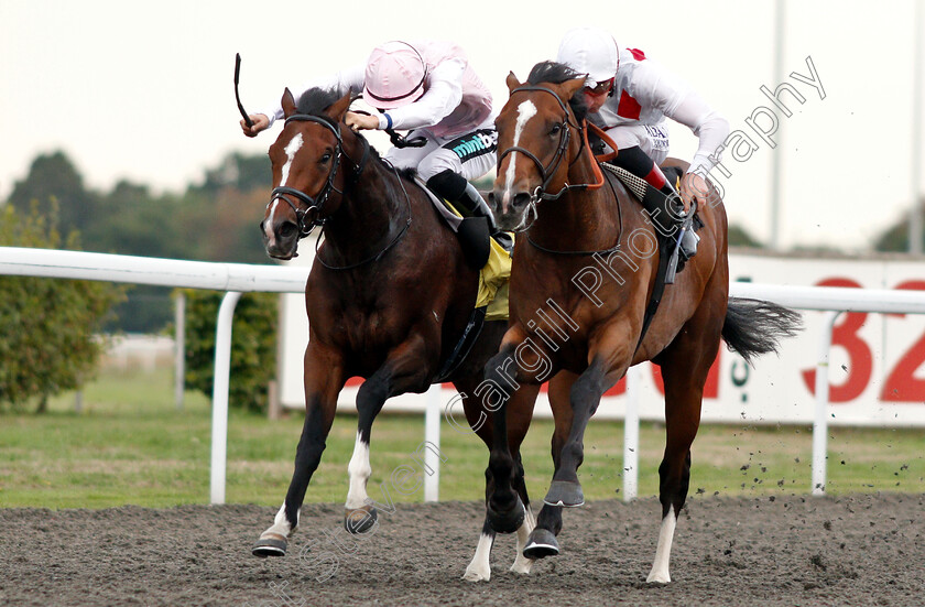 King s-Slipper-0005 
 KING'S SLIPPER (right, Adam Kirby) beats CROQUE MONSIEUR (left) in The 32red.com Handicap
Kempton 29 Aug 2018 - Pic Steven Cargill / Racingfotos.com