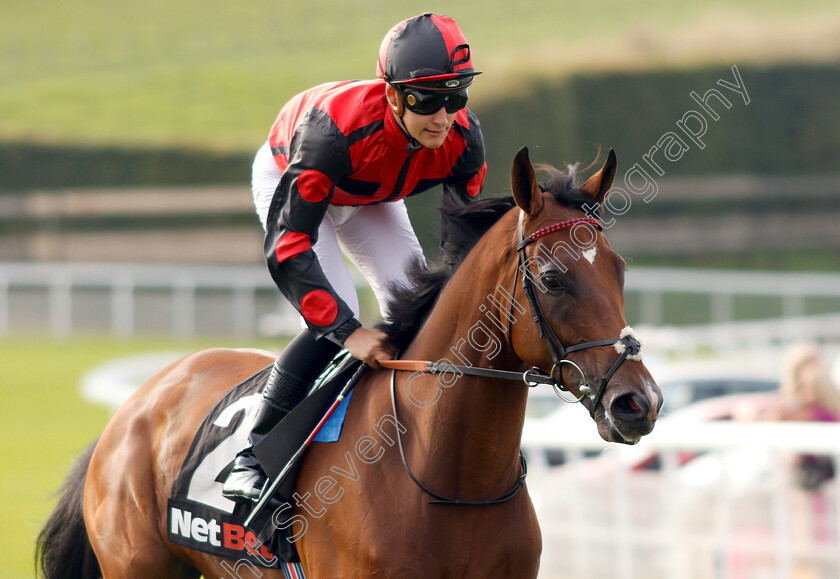 Butterfield-0001 
 BUTTERFIELD (Pierre Louis Jamin)
Goodwood 4 Sep 2018 - Pic Steven Cargill / Racingfotos.com