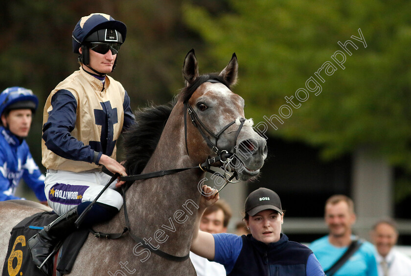 Port-Road-0001 
 PORT ROAD (Daniel Muscutt)
Kempton 28 Aug 2024 - Pic Steven Cargill / Racingfotos.com